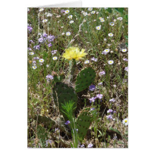 Feld der Blumen
