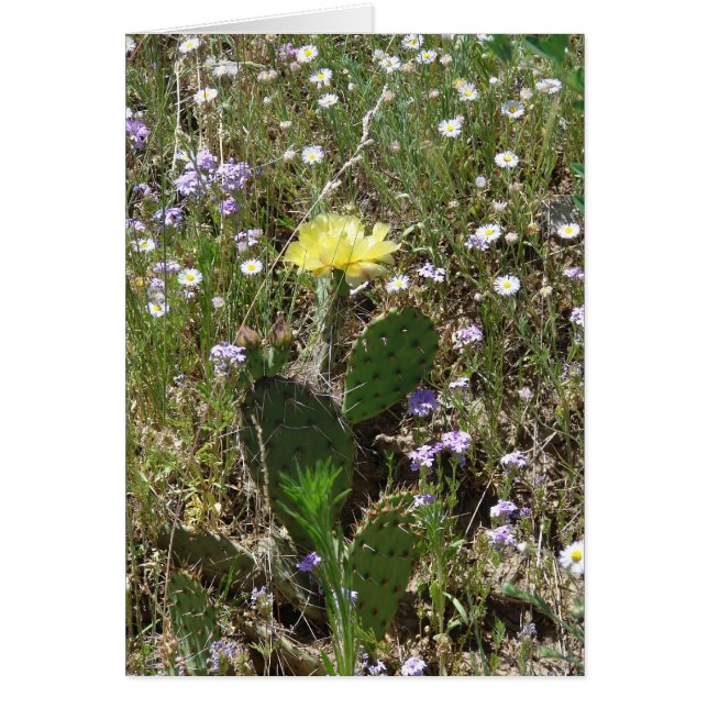 Feld der Blumen (Vorne)