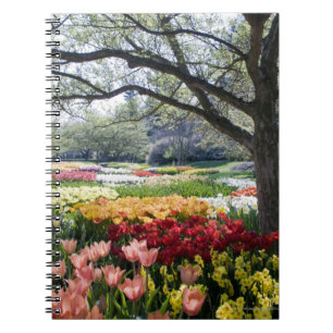 Feld der Blumen auf einem Frühlingsmorgen Notizblock