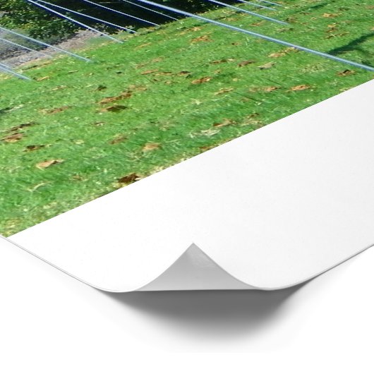 Feld der Flaggen Poster! Poster (Ecke)