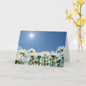 Feld der Gänseblümchen Karte (Gelbe Blume)