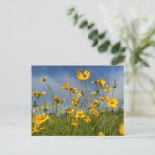 Feld der gelben Blumen Postkarte (Stehend Vorderseite)
