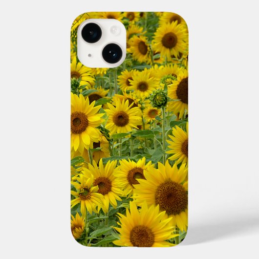 Feld der gelben Sonnenblumen Case-Mate iPhone Hülle (Rückseite)