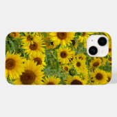 Feld der gelben Sonnenblumen Case-Mate iPhone Hülle (Rückseite (Horizontal))