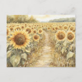 Feld der gelben Sonnenblumen Postkarte (Vorderseite)