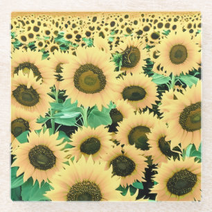 Feld der goldgelben Sonnenblumen Glasuntersetzer