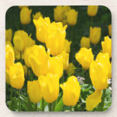 Feld der hellgelben Tulpen Getränkeuntersetzer (Vorderseite)