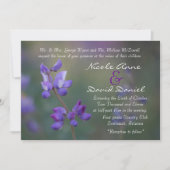 Feld der horizontalen Lupine Einladung (Vorderseite)