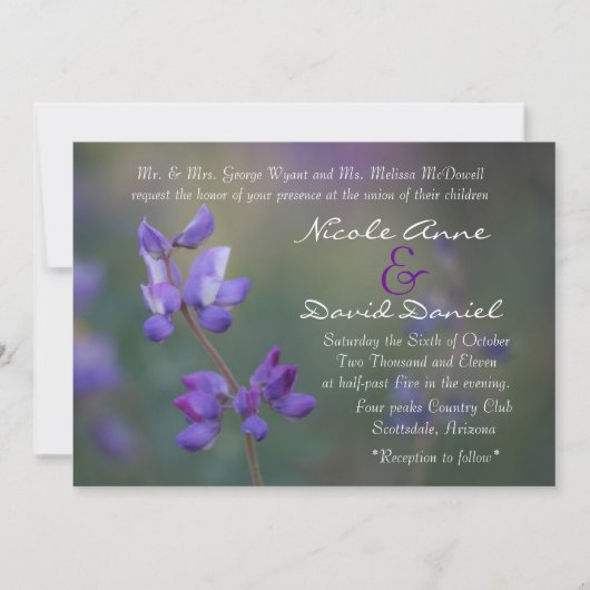 Feld der horizontalen Lupine Einladung (Vorderseite)