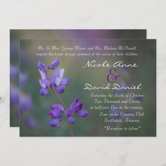 Feld der horizontalen Lupine Einladung (Vorne/Hinten)