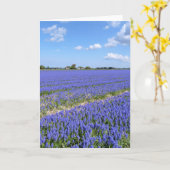 Feld der Hyazinthen Karte (Gelbe Blume)