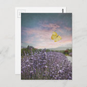 Feld der Lavendel-Blume, Blauer Himmel, rosa Sonne Postkarte (Vorne/Hinten)