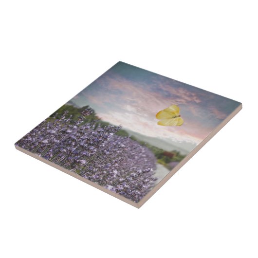 Feld der Lavendel-Blumen, blauer Himmel, rosa Fliese (Seite)