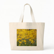 Feld der lebhaften gelben Blumen