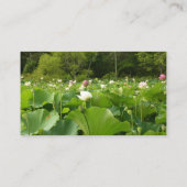 Feld der Lotusblumen Visitenkarte (Rückseite)