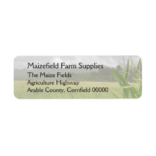 Feld der Maislandschaft