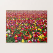 Feld der mehrfarbigen Tulpen Puzzle (Horizontal)