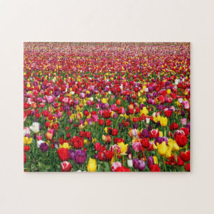 Feld der mehrfarbigen Tulpen Puzzle