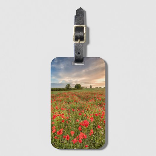 Feld der Mohnblumen Gepäckanhänger (Vorderseite Vertikal)