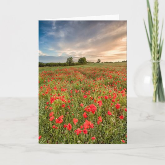 Feld der Mohnblumen Karte (Vorderseite)