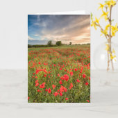 Feld der Mohnblumen Karte (Gelbe Blume)