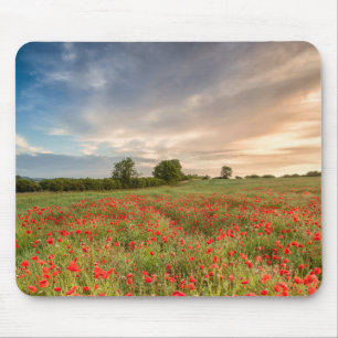 Feld der Mohnblumen Mousepad
