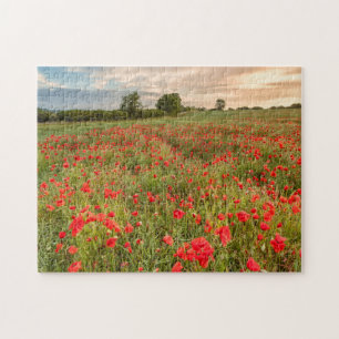 Feld der Mohnblumen Puzzle