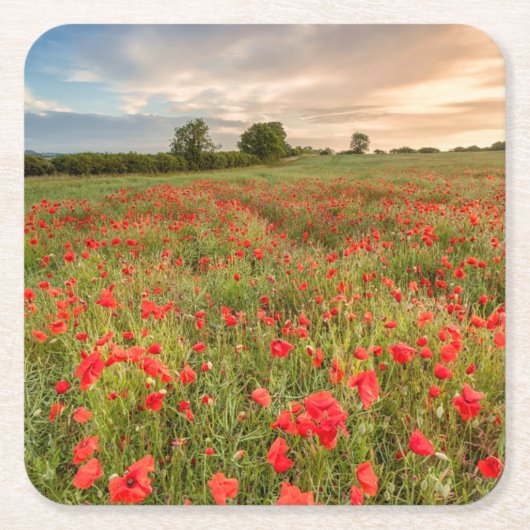 Feld der Mohnblumen Rechteckiger Pappuntersetzer (Vorderseite)