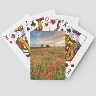 Feld der Mohnblumen Spielkarten