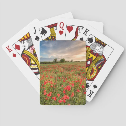 Feld der Mohnblumen Spielkarten (Rückseite)