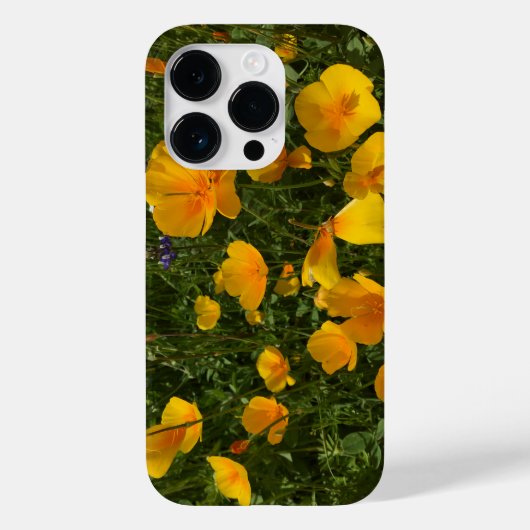Feld der Poppies iPhone Case (Rückseite)