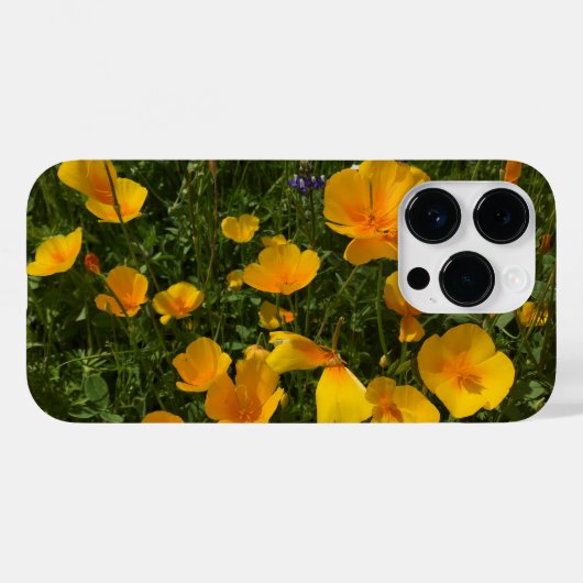 Feld der Poppies iPhone Case (Rückseite (Horizontal))