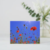Feld der Poppies und der blauen Indigoblüten Postkarte (Stehend Vorderseite)