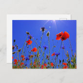 Feld der Poppies und der blauen Indigoblüten Postkarte (Vorne/Hinten)