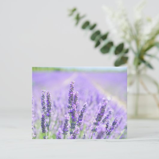 Feld der Postkarte (Stehend Vorderseite)