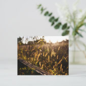 Feld der Postkarte für den Gold Abend (Stehend Vorderseite)