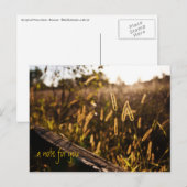 Feld der Postkarte für den Gold Abend (Vorne/Hinten)