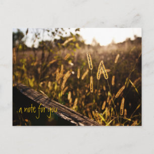 Feld der Postkarte für den Gold Abend