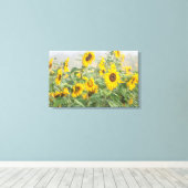 Feld der riesigen, hellgelben Sonnenblumen Leinwanddruck (Insitu (Holzboden))