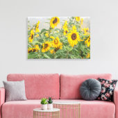 Feld der riesigen, hellgelben Sonnenblumen Leinwanddruck (Insitu (Wohnzimmer))