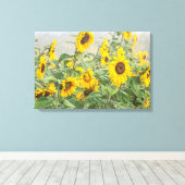 Feld der riesigen, hellgelben Sonnenblumen Leinwanddruck (Insitu (Holzboden))