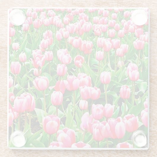 Feld der rosa Tulipen Glasuntersetzer (Rückseite)