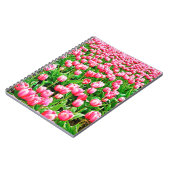 Feld der rosa Tulipen Notizblock (Linke Seite)