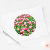 Feld der rosa Tulipen Runder Aufkleber (Umschlag)