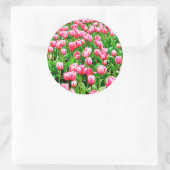 Feld der rosa Tulipen Runder Aufkleber (Tasche)