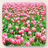 Feld der rosa Tulipen Untersetzer (Vorderseite)