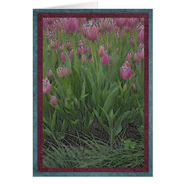 Feld der rosa Tulpen (Vorne)