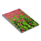 Feld der rosa Tulpen Notizblock (Rechte Seite)