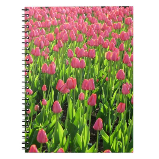 Feld der rosa Tulpen Notizblock (Vorderseite)
