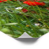 Feld der roten Mohnblumen Poster (Ecke)